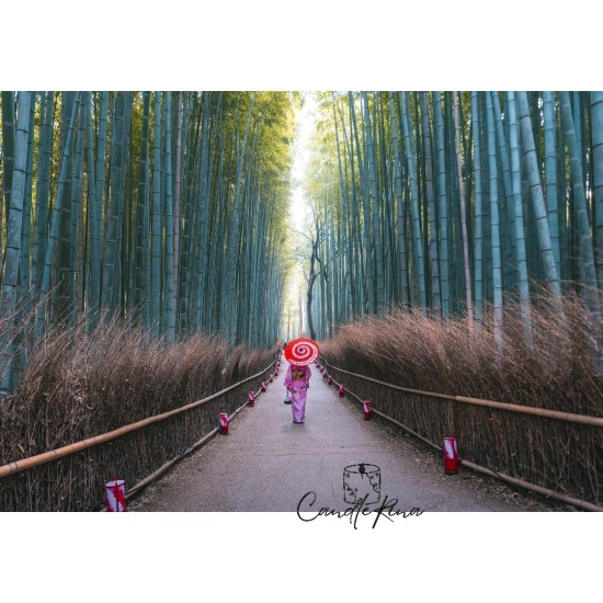 Άρωμα τύπου Paradigme Prada (Archetype)