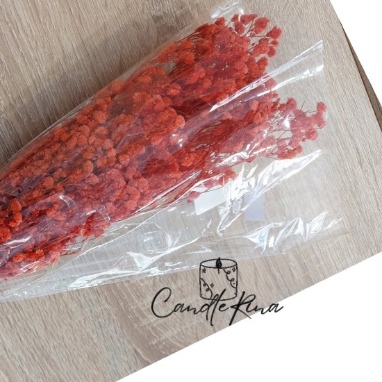 Αποξηραμένη γυψοφύλλη κόκκινη (32-40gr)