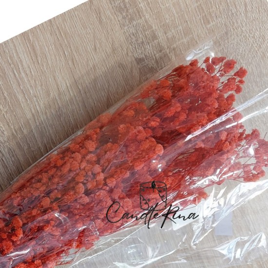 Αποξηραμένη γυψοφύλλη κόκκινη (32-40gr)