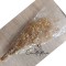 Αποξηραμένη γυψοφύλλη μπεζ (32-40gr)