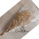 Αποξηραμένη γυψοφύλλη μπεζ (32-40gr)