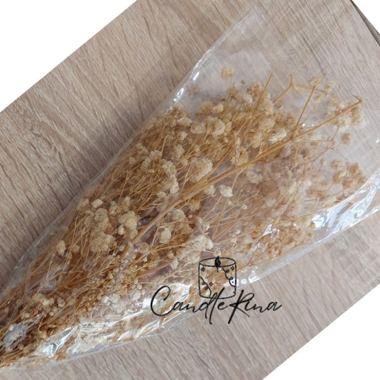 Αποξηραμένη γυψοφύλλη μπεζ (32-40gr)